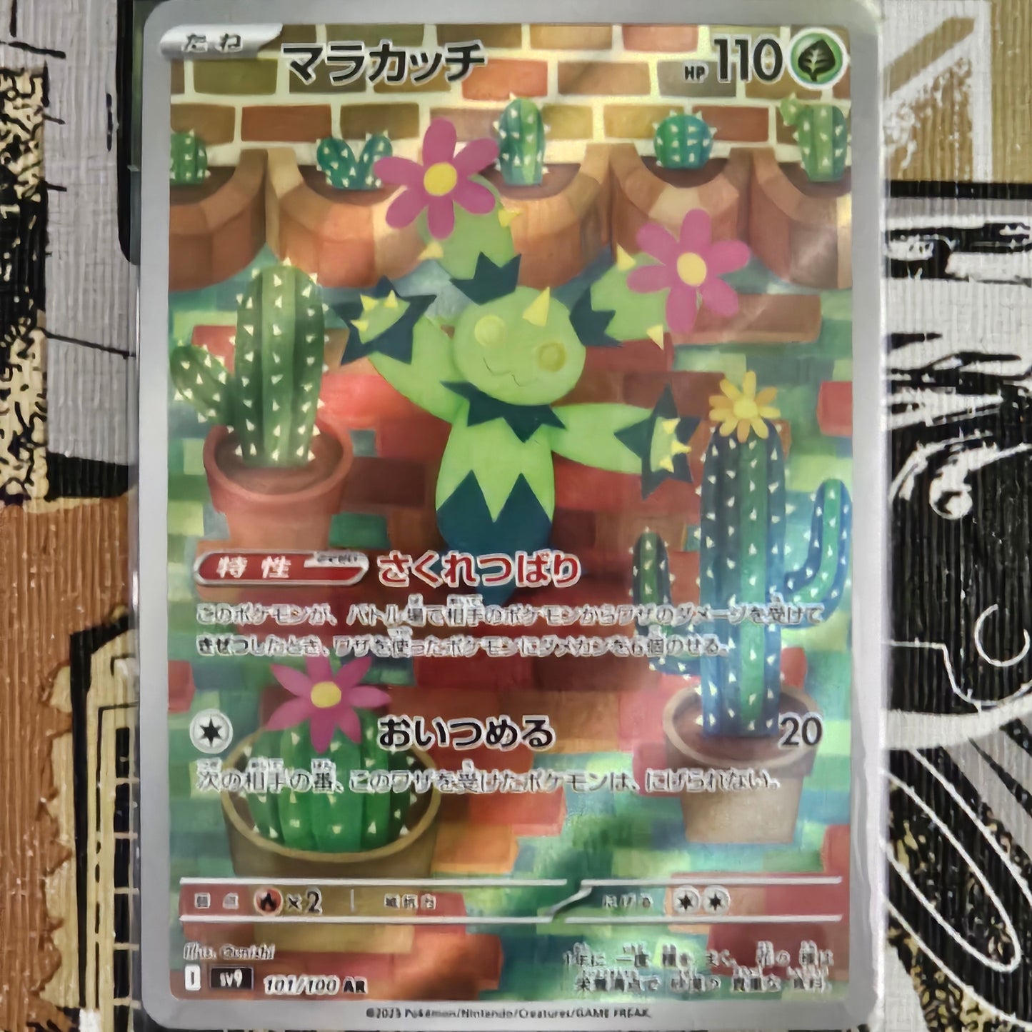 Maractus 101/100 Japones