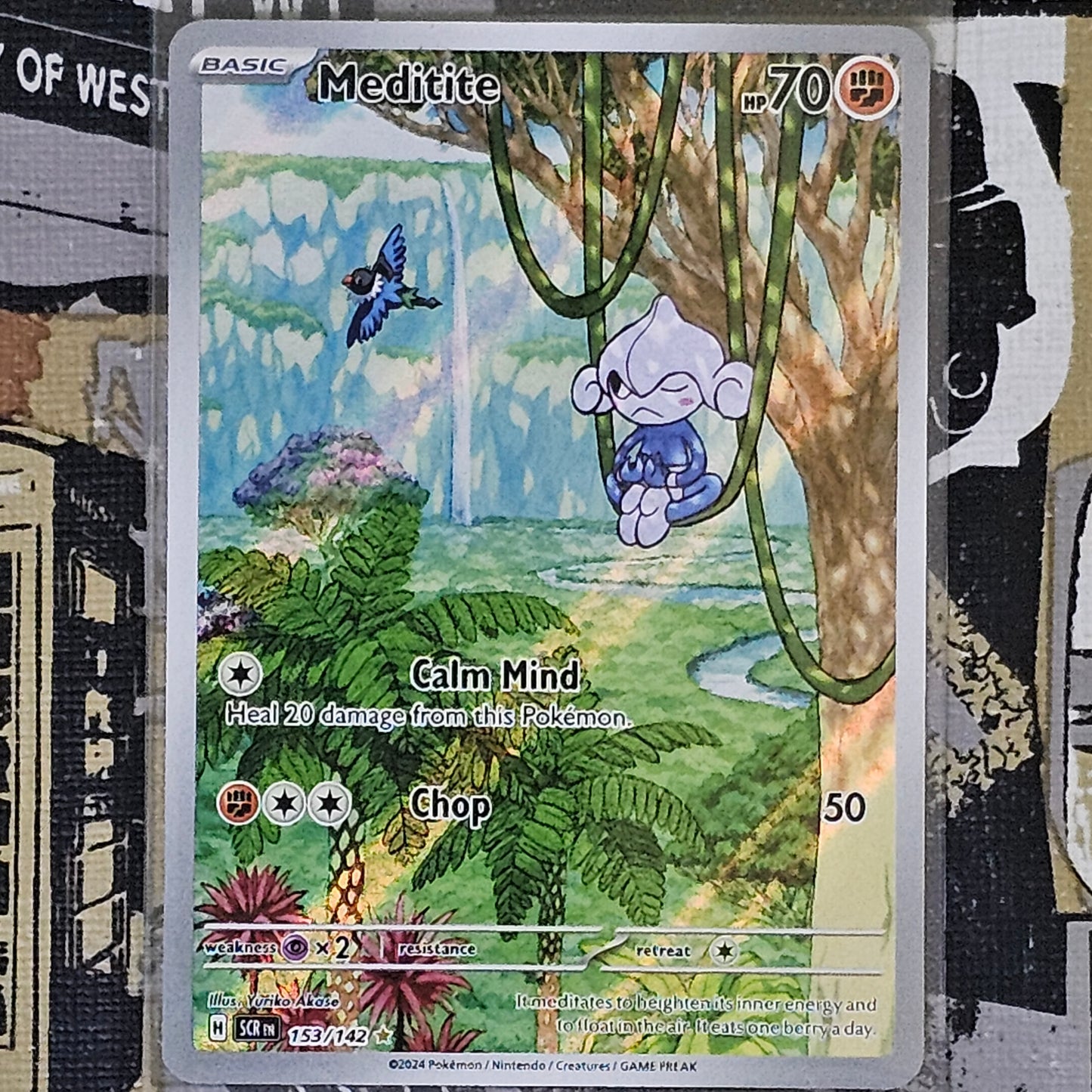 Meditite 153/142 Illustration Rare
