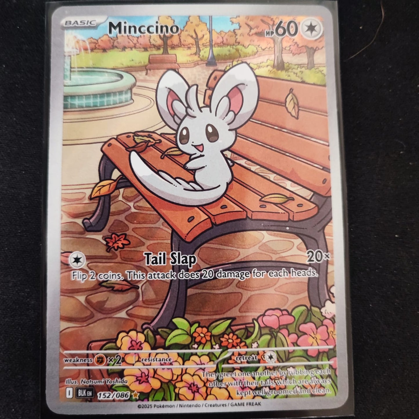 Minccino 152/086 Illustration Rare