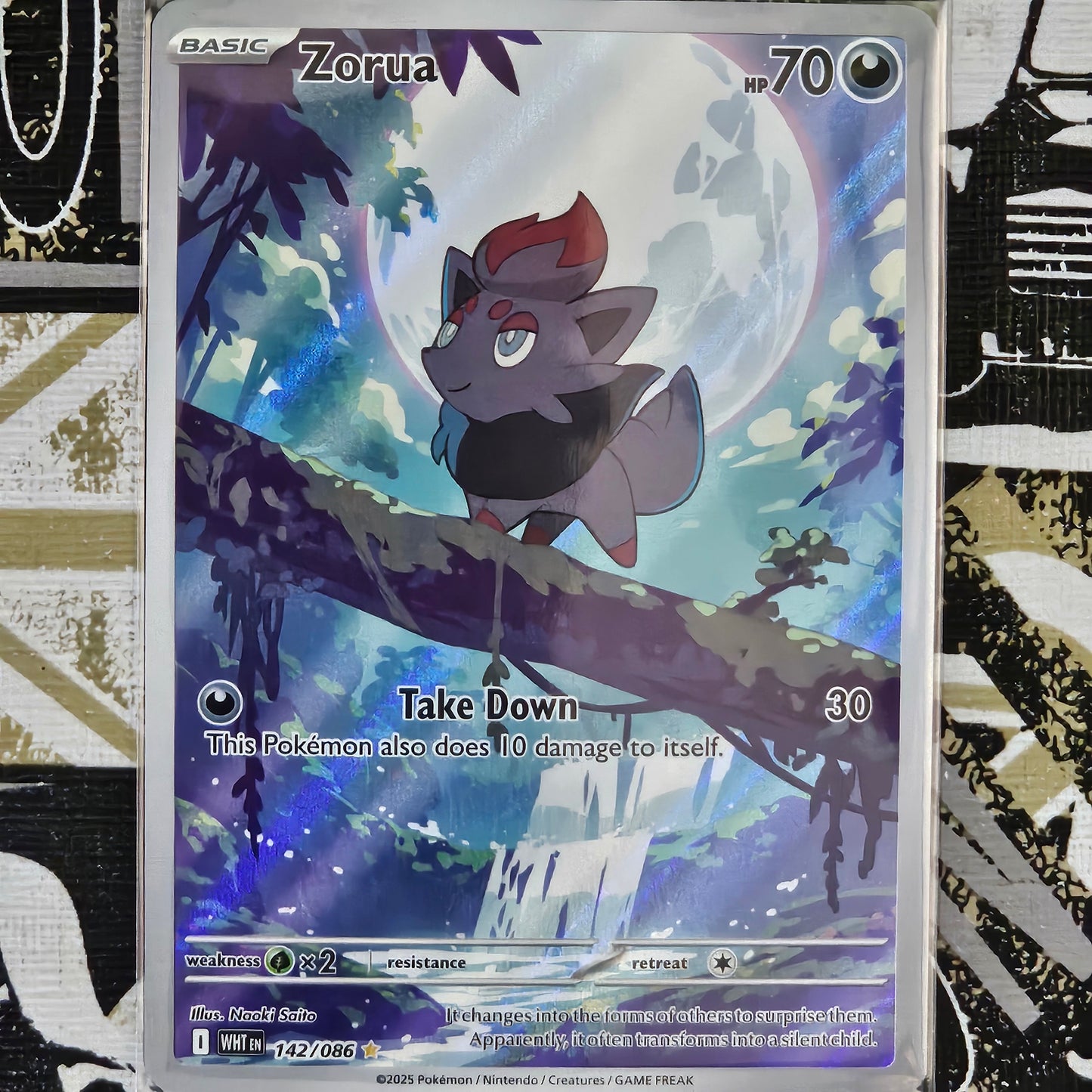 Zorua 142/086 Illustration Rare