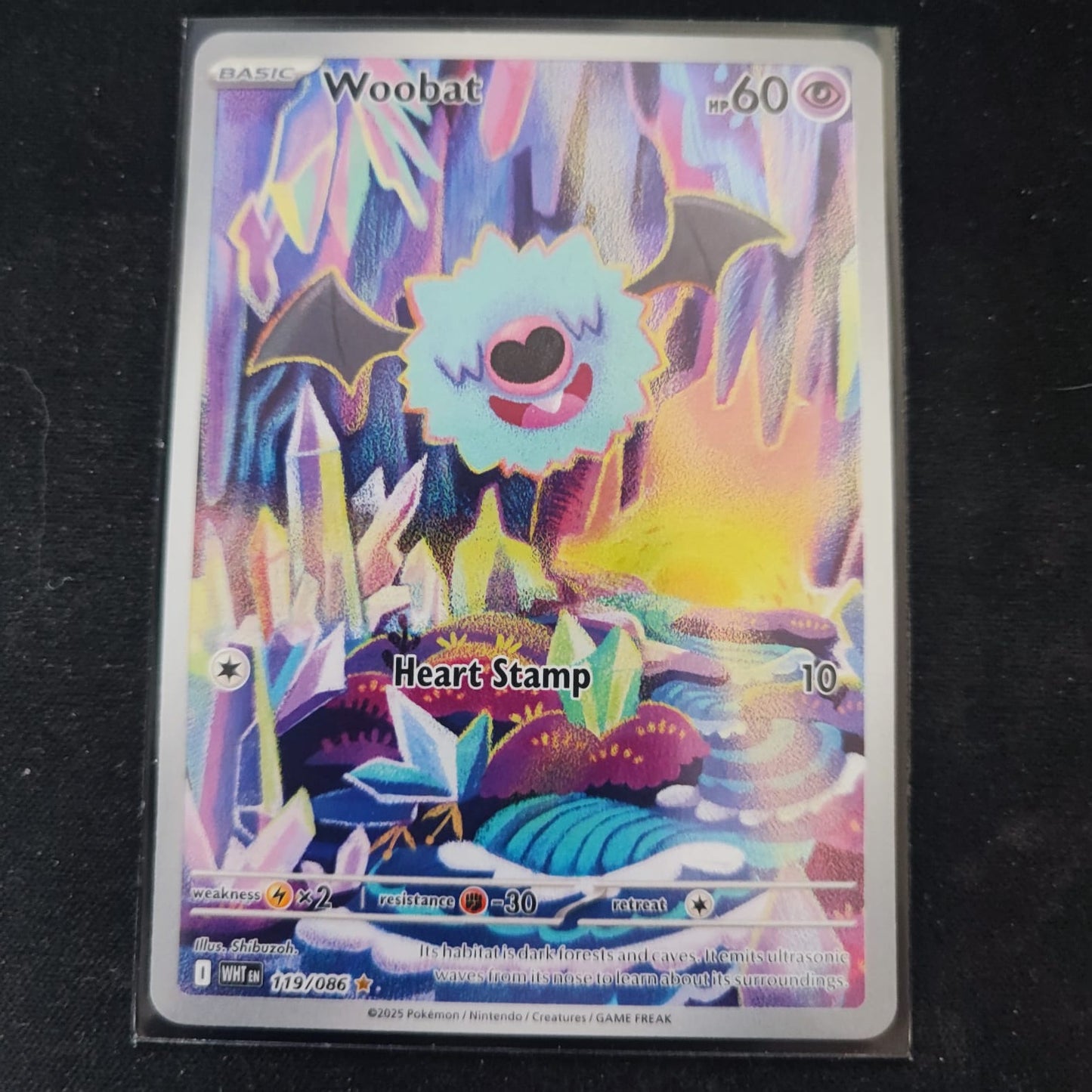 Woobat 119/086 Illustration Rare