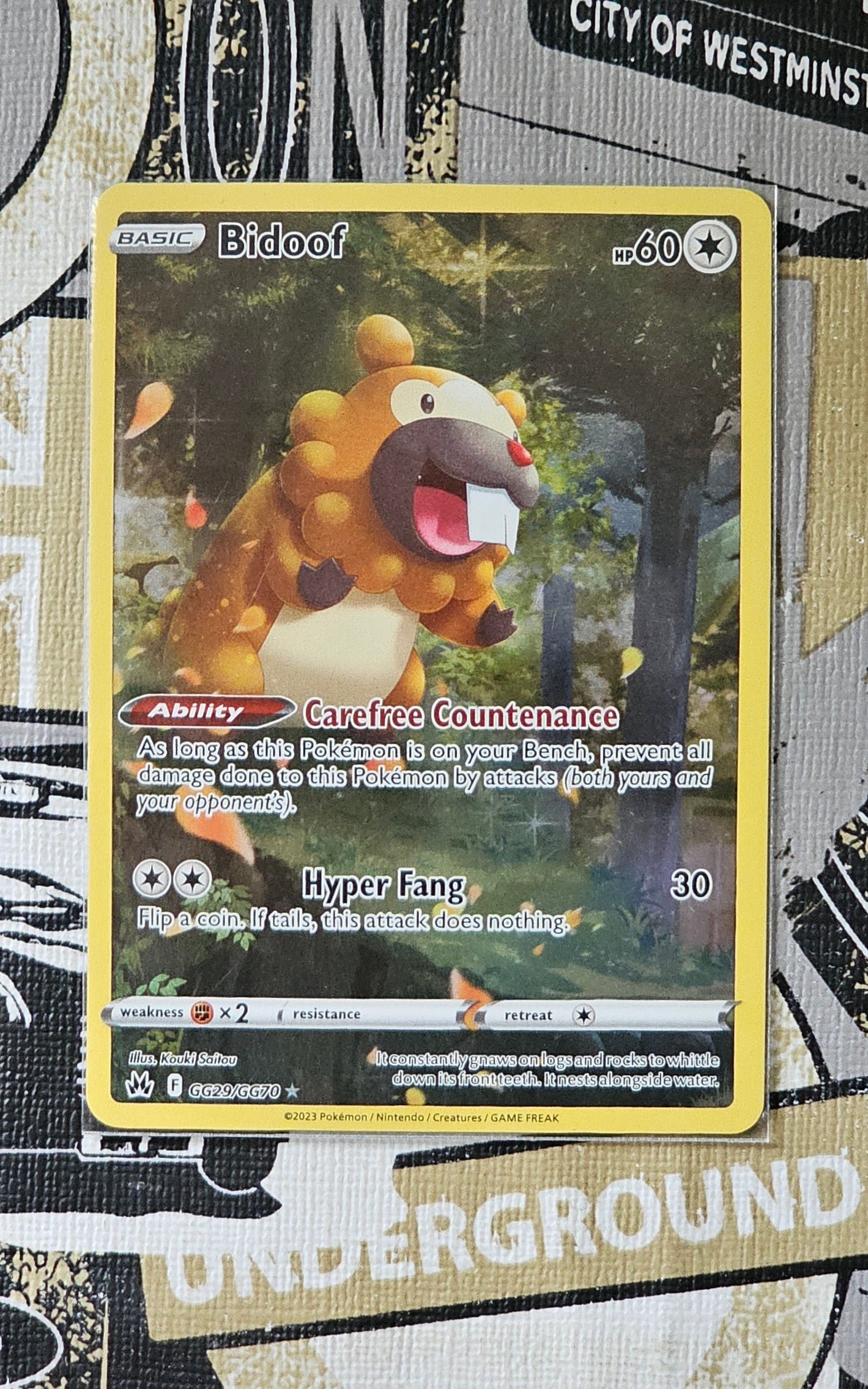 Bidoof GG29/GG70 Holo Rare