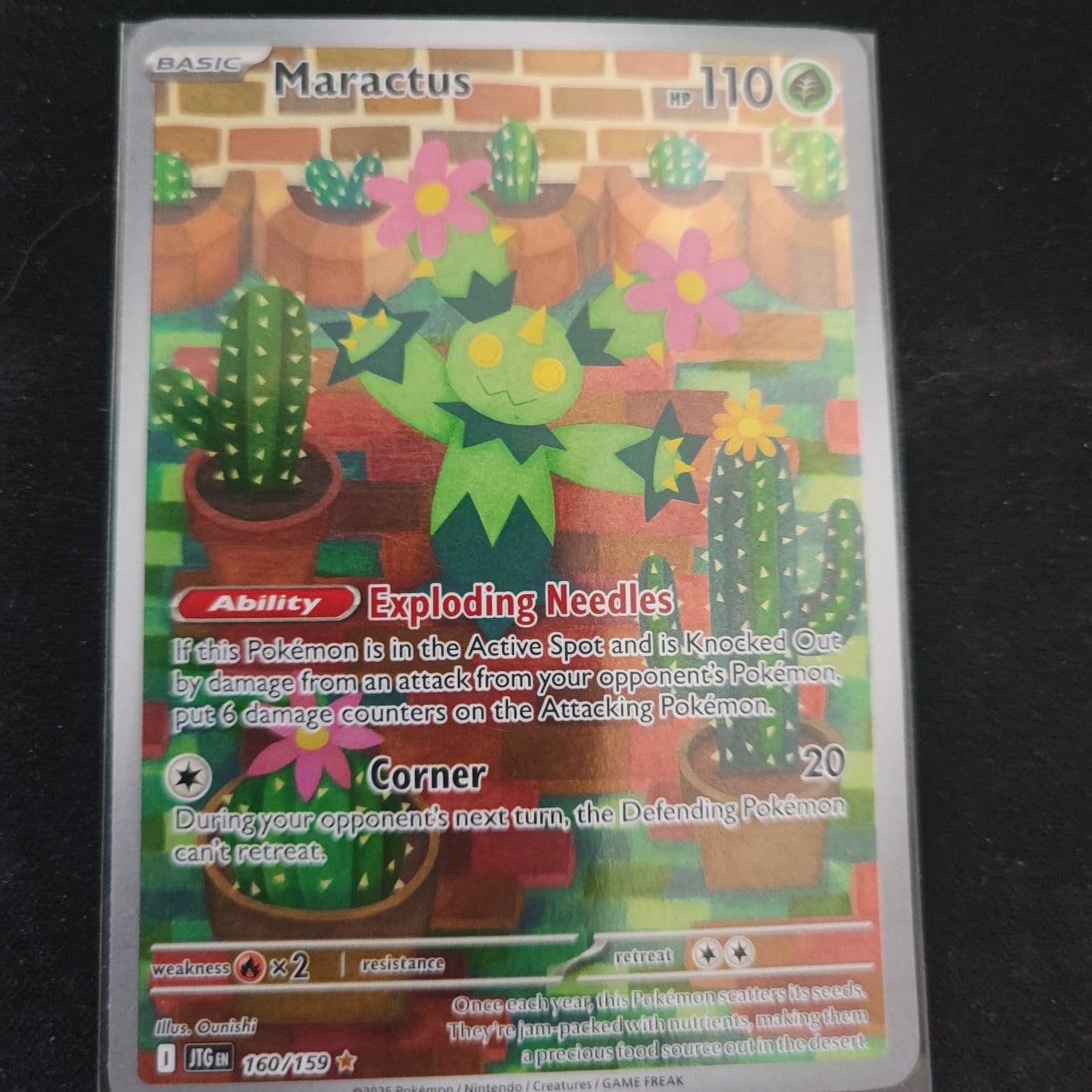 Maractus 160/159 Illustration Rare