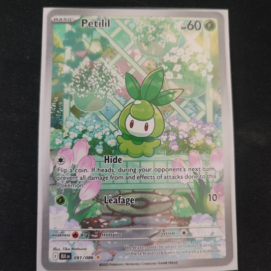 Petilil 091/086 Illustration Rare