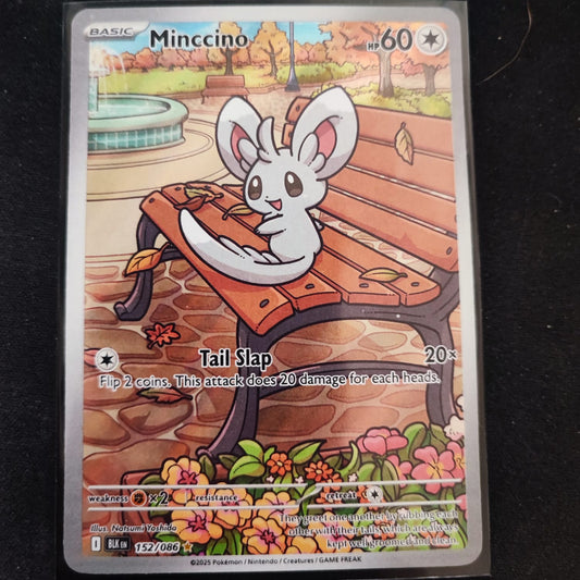 Minccino 152/086 Illustration Rare