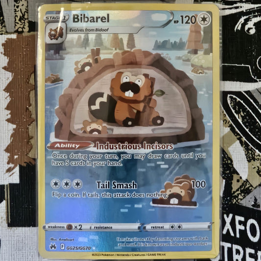 Bibarel GG25/GG70